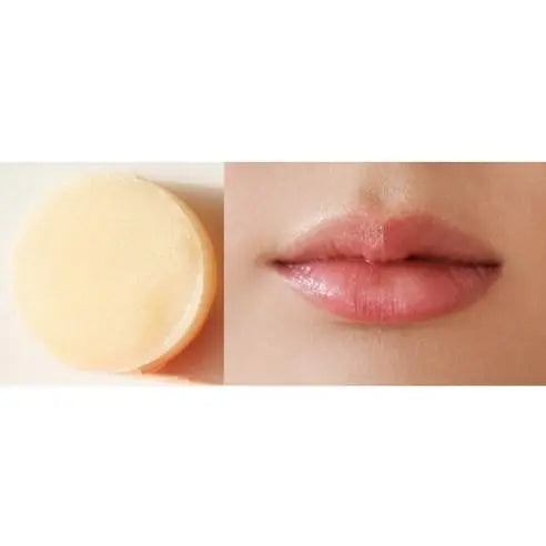 melixir Vegan Lip Butter 3.9g #01 Agave(Clear) - Atelievuè