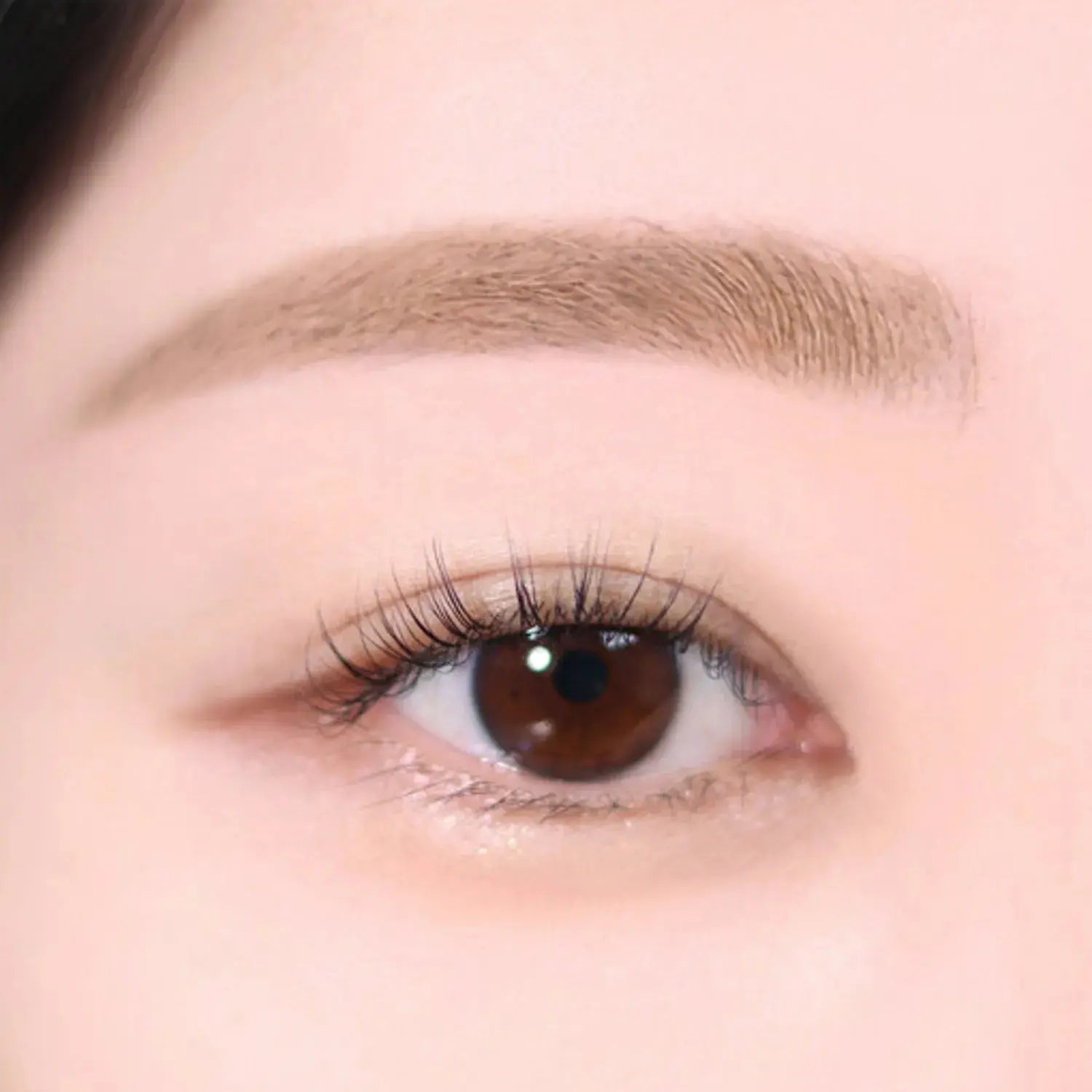 espoir The Brow Color Fixing Cara 3g - Atelievuè