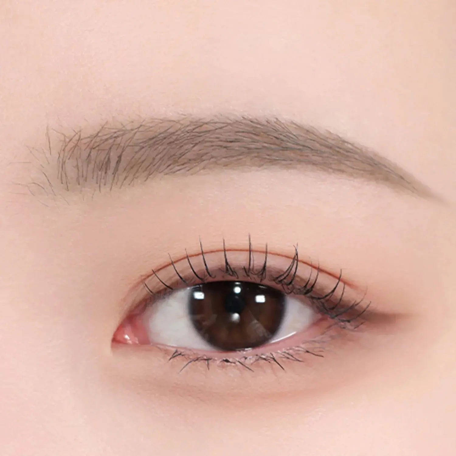 espoir The Brow Color Fixing Cara 3g - Atelievuè