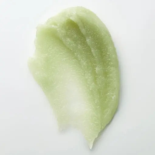FULLY GREEN TOMATO SMOOTIE LIP SCRUB 12g - Atelievuè