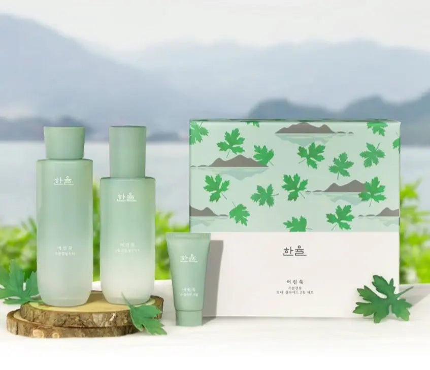 HANYUL Pure Artemisia Calming Balancing Set - Atelievuè