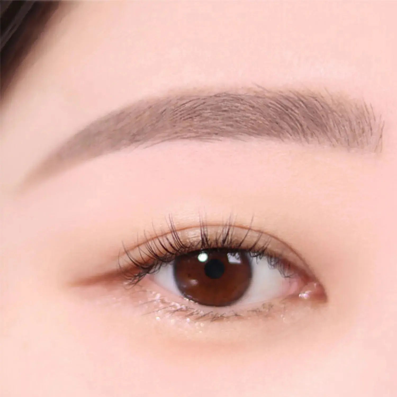 espoir The Brow Color Fixing Cara 3g - Atelievuè
