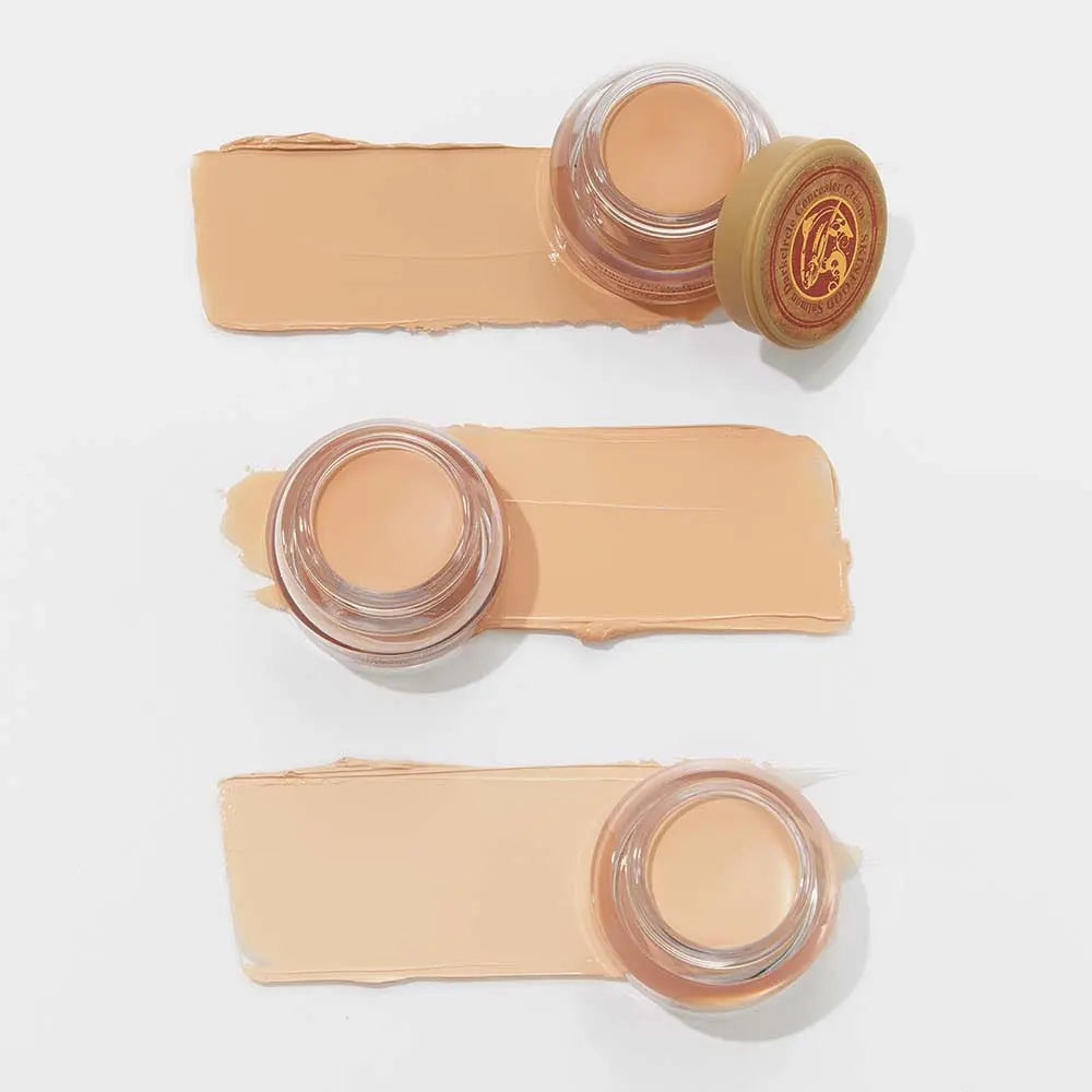 SKINFOOD Salmon Dark Circle Concealer Cream 10g - Atelievuè